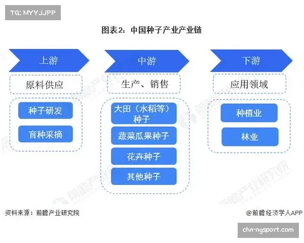 中超外援薪资全景解析揭示各俱乐部合同背后的秘密与真实情况 中超外援薪资全景解析揭示各俱乐部合同背后的秘密与真实情况